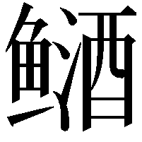 䲤
