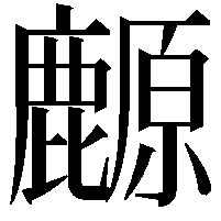 䴨