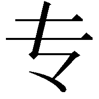 专