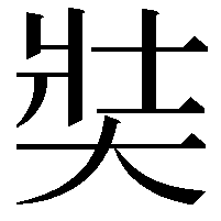 奘