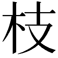 枝