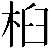 桕