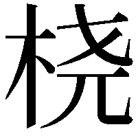 桡