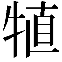 犆