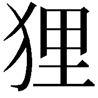 狸