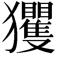 玃