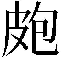 皰