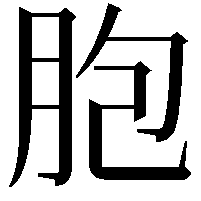 胞