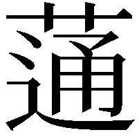 蓪
