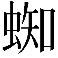 蜘