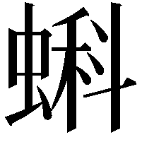 蝌