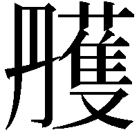 雘