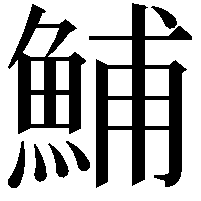 鯆