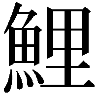 鯉