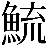 鯍