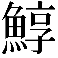 鯙