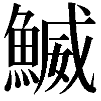 鰄