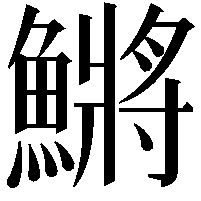 鱂