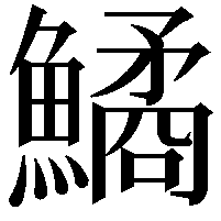 鱊