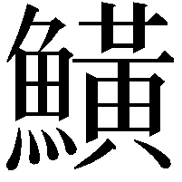 鱑