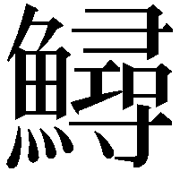 鱘