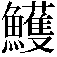 鱯