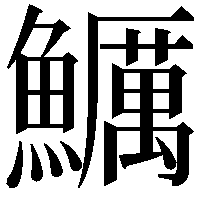 鱱