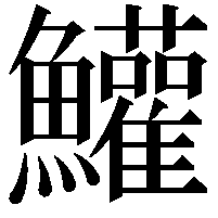 鱹