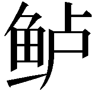 鲈