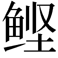 鲣