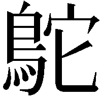 鴕