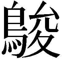 鵔