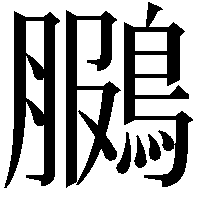 鵩