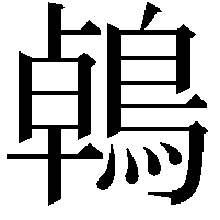 鵫