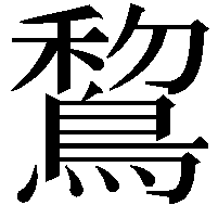 鵹