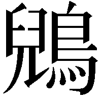 鶂