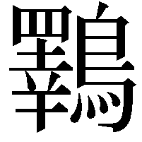 鸅