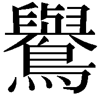 鸒