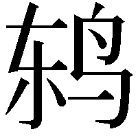 鸫