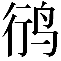 鸻