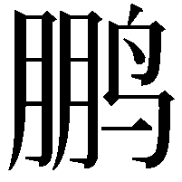 鹏