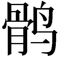 鹘