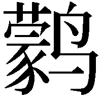 鹲